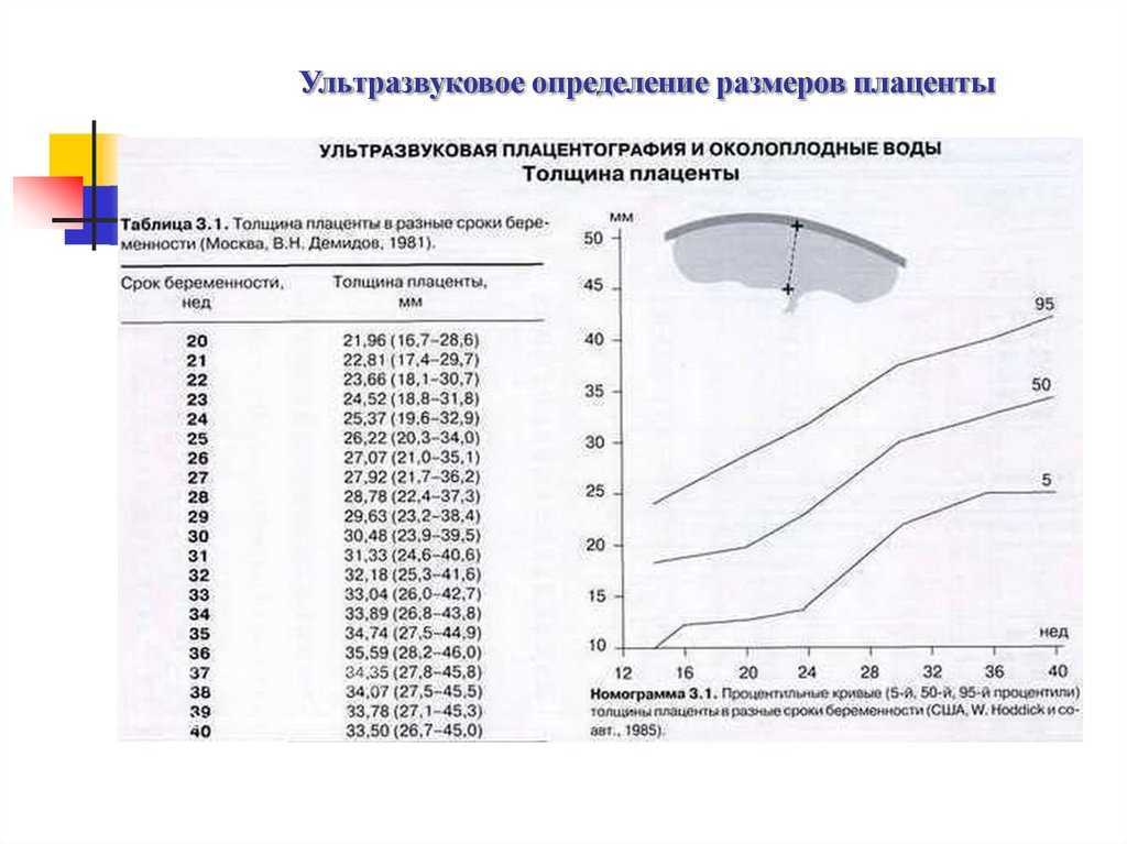 Плацента: строение, функции, зрелость, гиперплазия, предлежание, отслойка   | материнство - беременность, роды, питание, воспитание