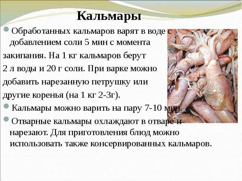 Можно ли поправиться от кальмаров. ни рыба ни мясо: польза и вред кальмаров