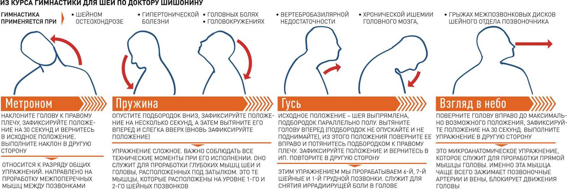 Гимнастика шишонина для шеи при остеохондрозе шейного отдела: видео, польза лфк