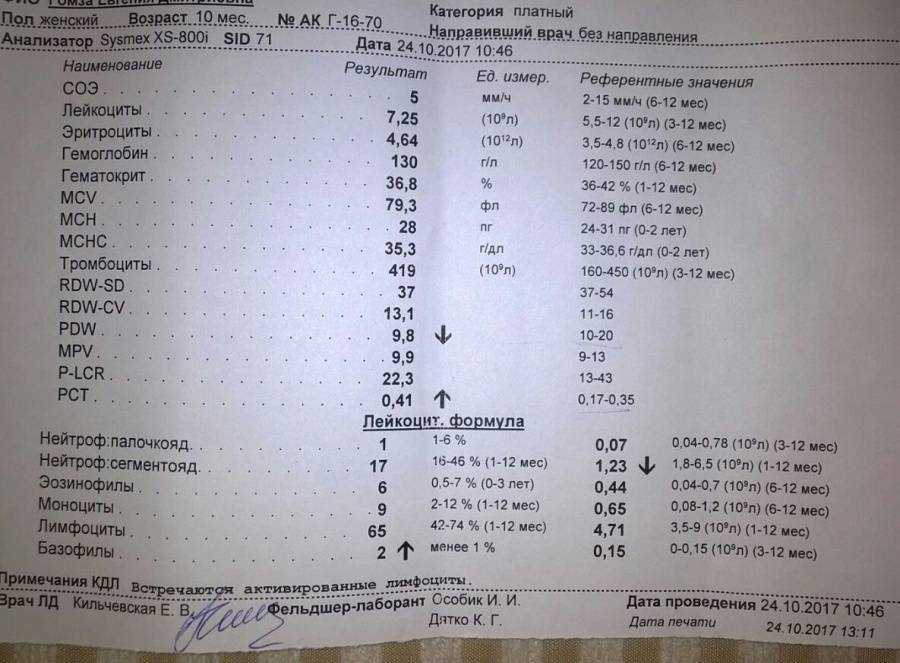Эозинофилы: для чего нужны, нормы в крови, причины отклонений