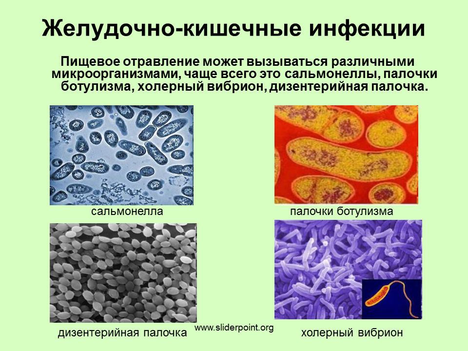 Кишечная инфекция: симптомы и лечение у взрослых, сколько длится, какие заболевания относятся