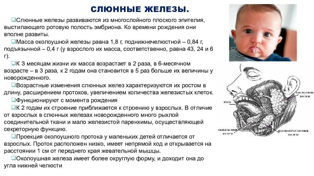 Сиаладенит
