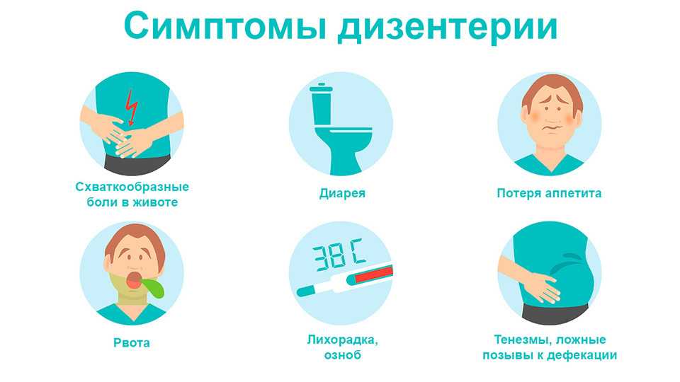 Признаки и лечение дизентерии и сальмонеллеза  Дизентерия и сальмонеллез стр 1 из 3  Г А О У  В П О  Северо- Восточный  Федеральный  Университет им М