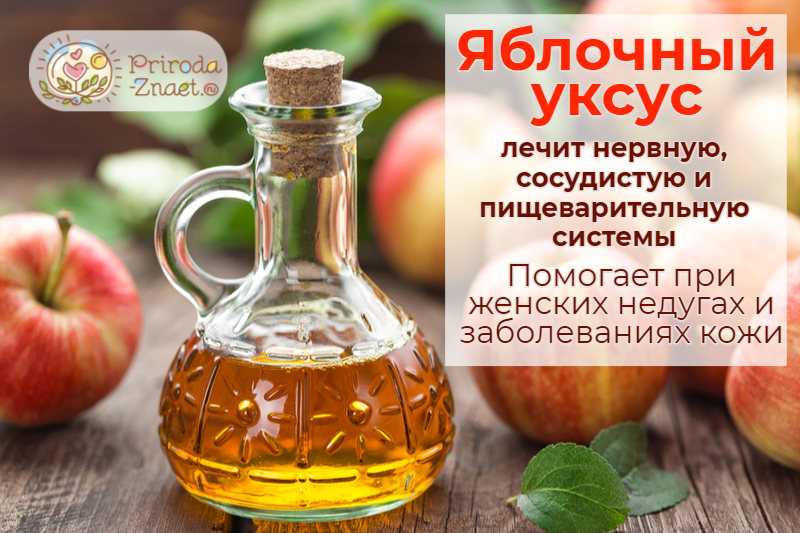 Яблочный уксус – польза при похудении, вред и противопоказания