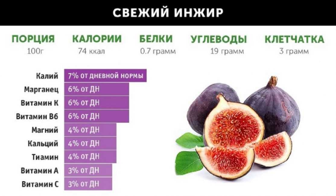 Инжир при беременности - польза и вред