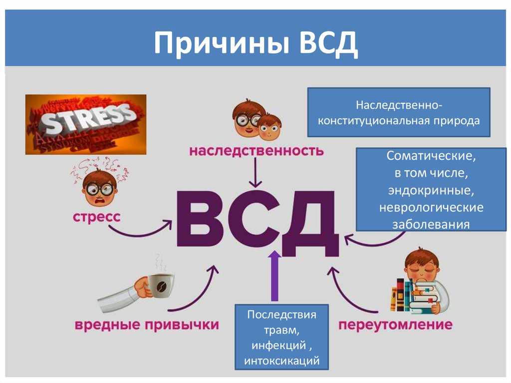 Диета при вегетососудистой дистонии: правила питания, разрешенные продукты, примеры меню