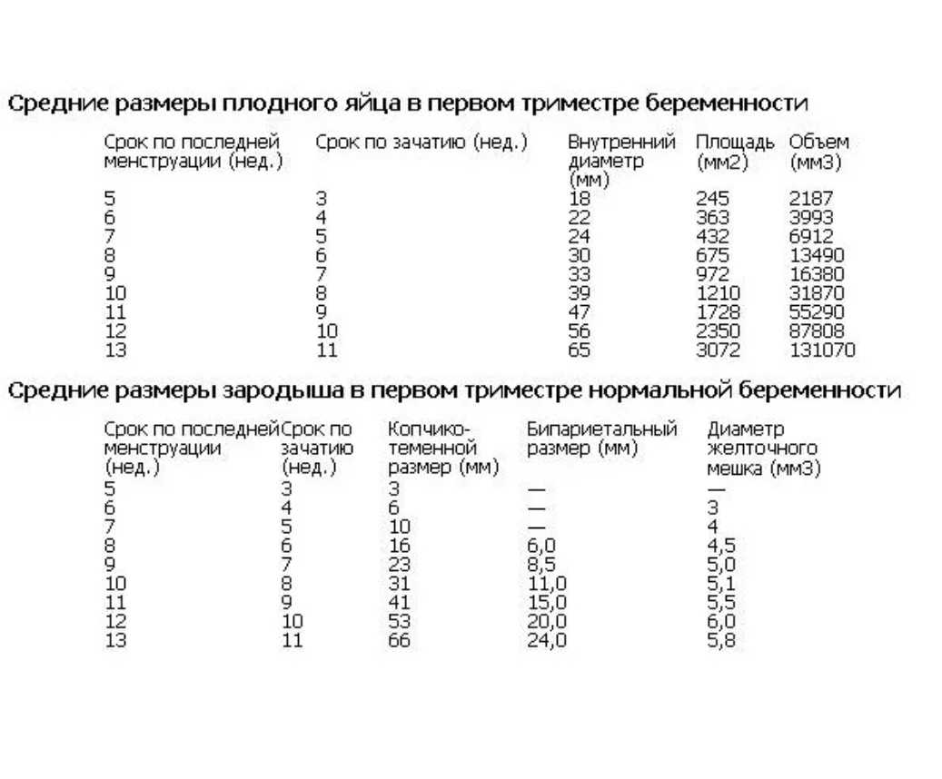 Размеры плодного яйца по неделям беременности в таблице (патологии)