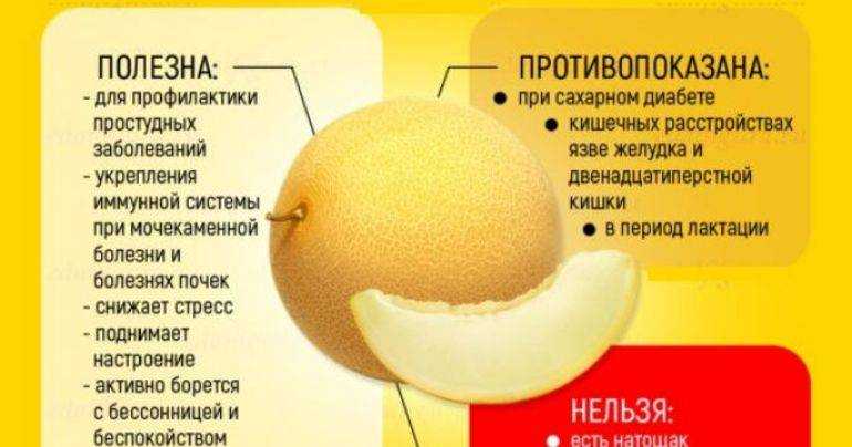 Дыня при грудном вскармливании: можно ли, отзывы, комаровский, в первый, второй месяц, 5 месяцев, противопоказания