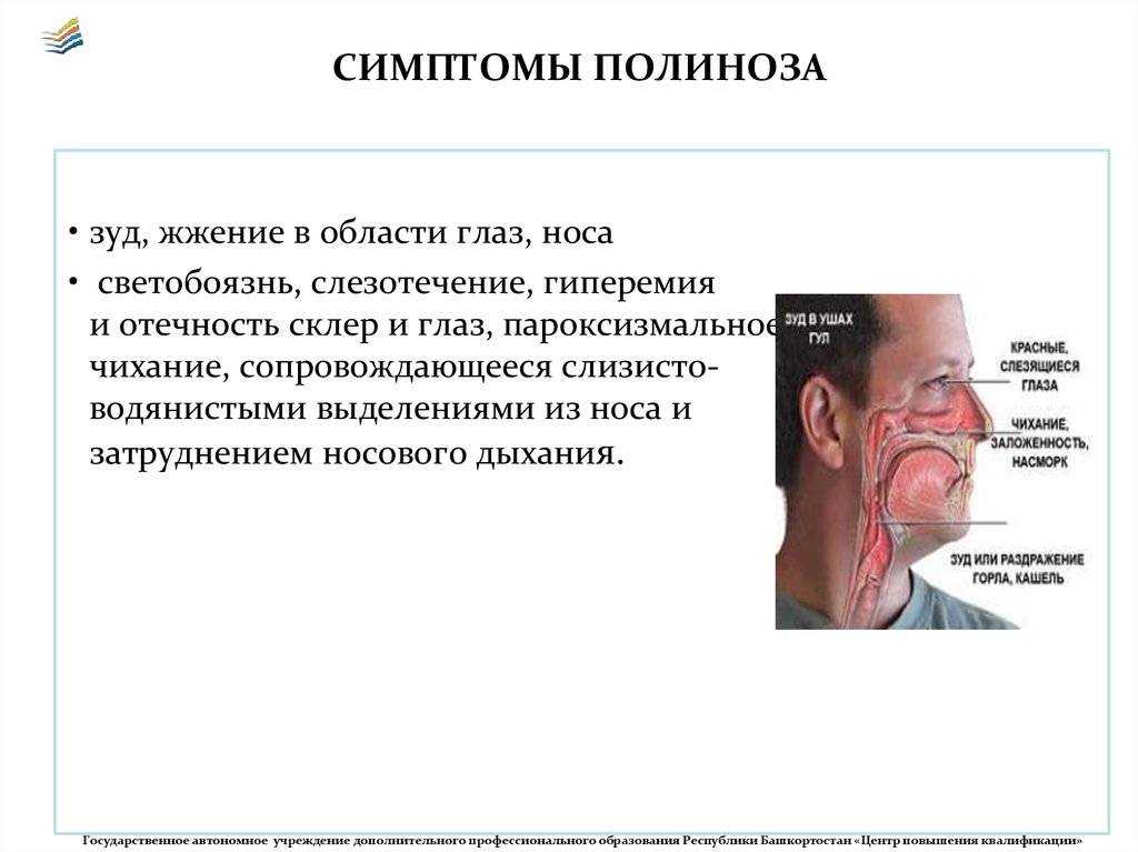 Приметы: к чему чешется нос у девушки или мужчины