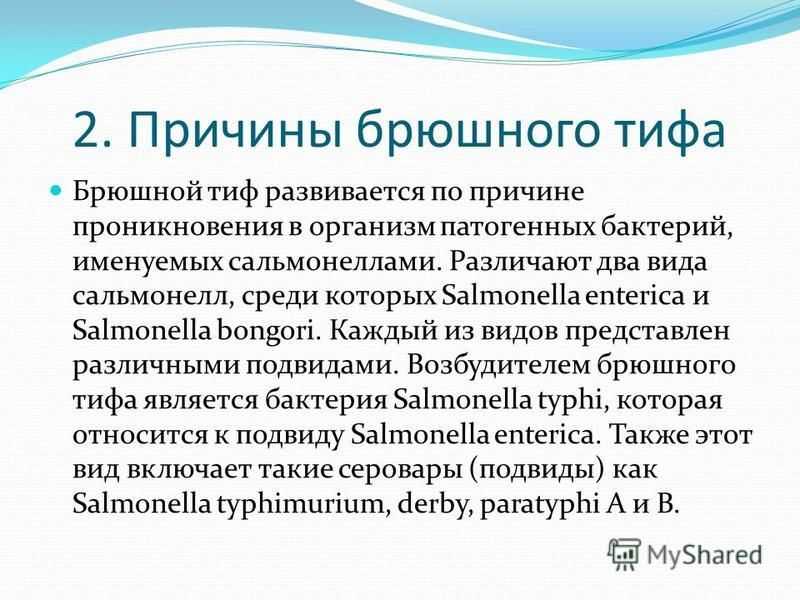 Серологическое исследование на брюшной тиф ⋆ гмц