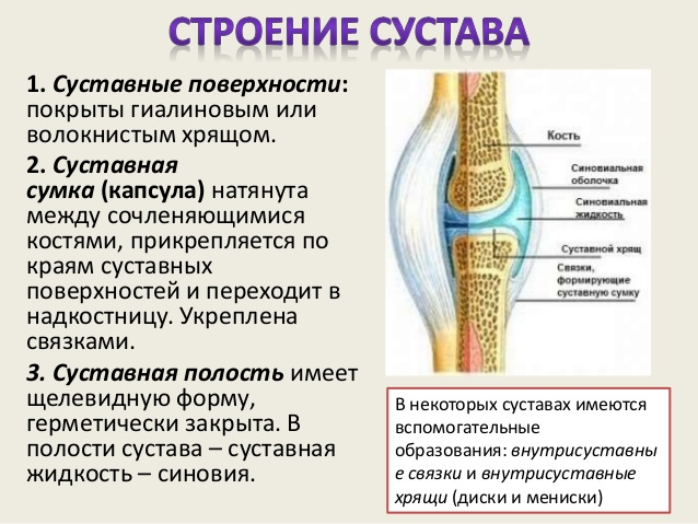 Капсула — оболочка сустава: ее строение и травмы  Капсула – оболочка сустава: ее строение и травмы  Капсула сустава – это оболочка костного сочлeнения,