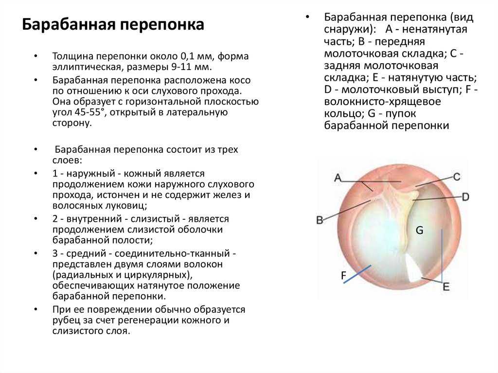 Перфорация барабанной перепонки у детей: симптомы и лечение