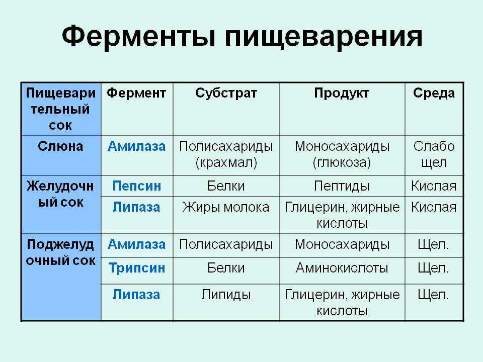 Самое лучшее средство для лечения желудка - верни здоровье