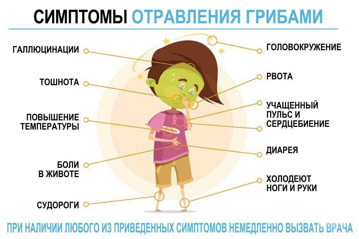 Отравление дыней: первые симптомы. что предпринять, если произошло отравление дыней — лечение и дальнейшая профилактика