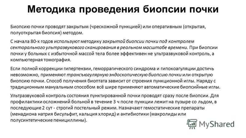 Биопсия почки: показания, как делается и подготовка
