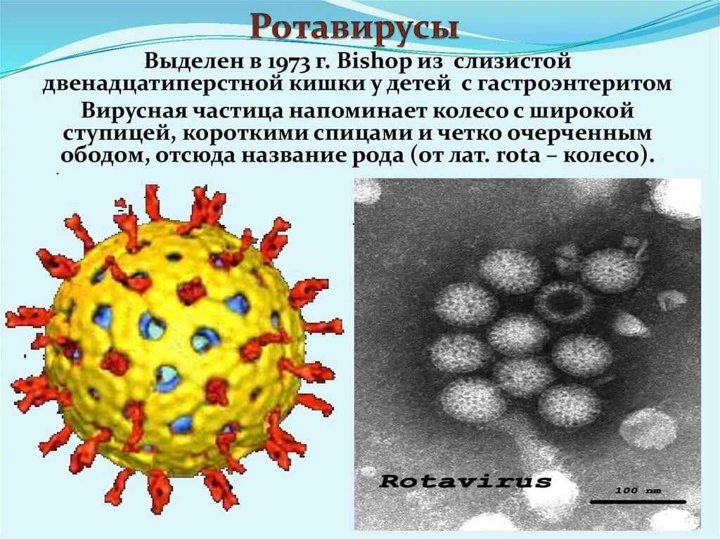 Последствия ротавирусной инфекции: осложнения после желудочного гриппа у детей и беременных, как вылечить кишечную болезнь