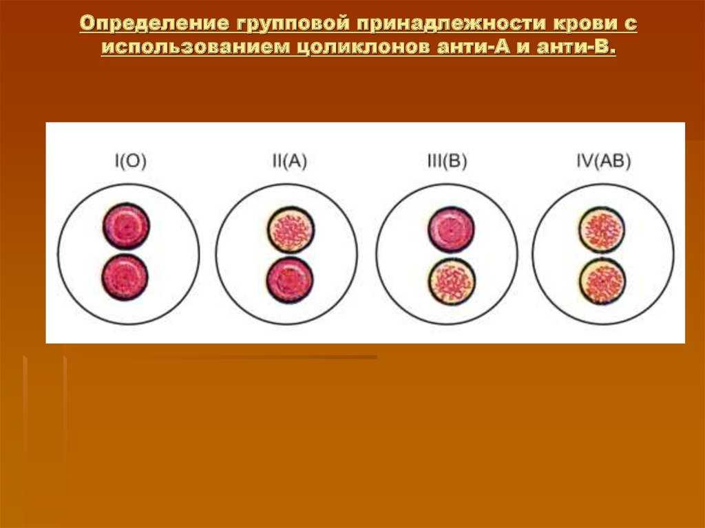 Диета по группе крови - таблица продуктов, меню, отзывы