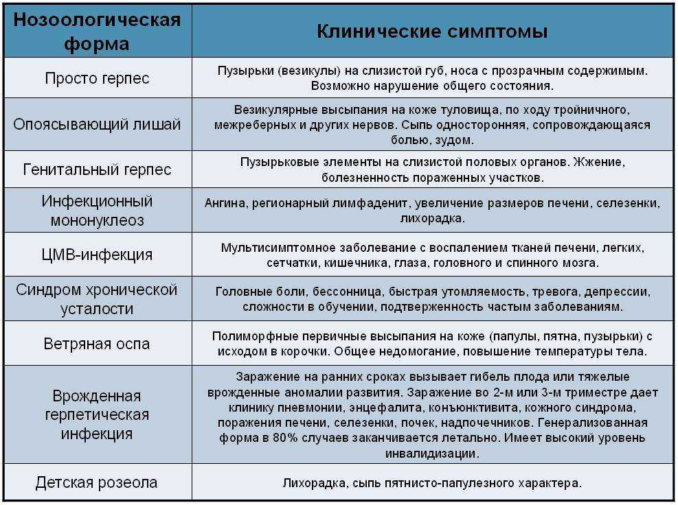 Как можно заразиться гepпeсом  Как передается вирус гepпeса  Герпес считается одним из самых распространенных заболеваний вирусной этиологии  О нем знали