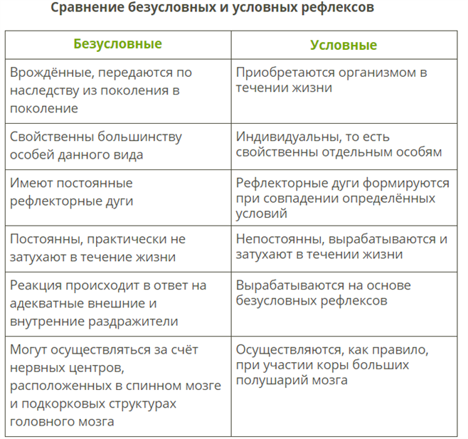 Понятие о рефлексах у собак