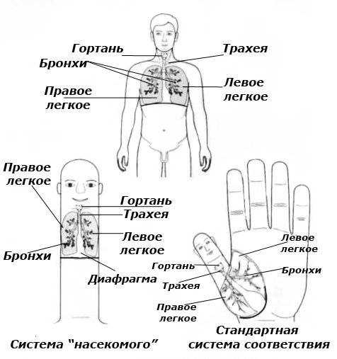 Перцовый пластырь при кашле