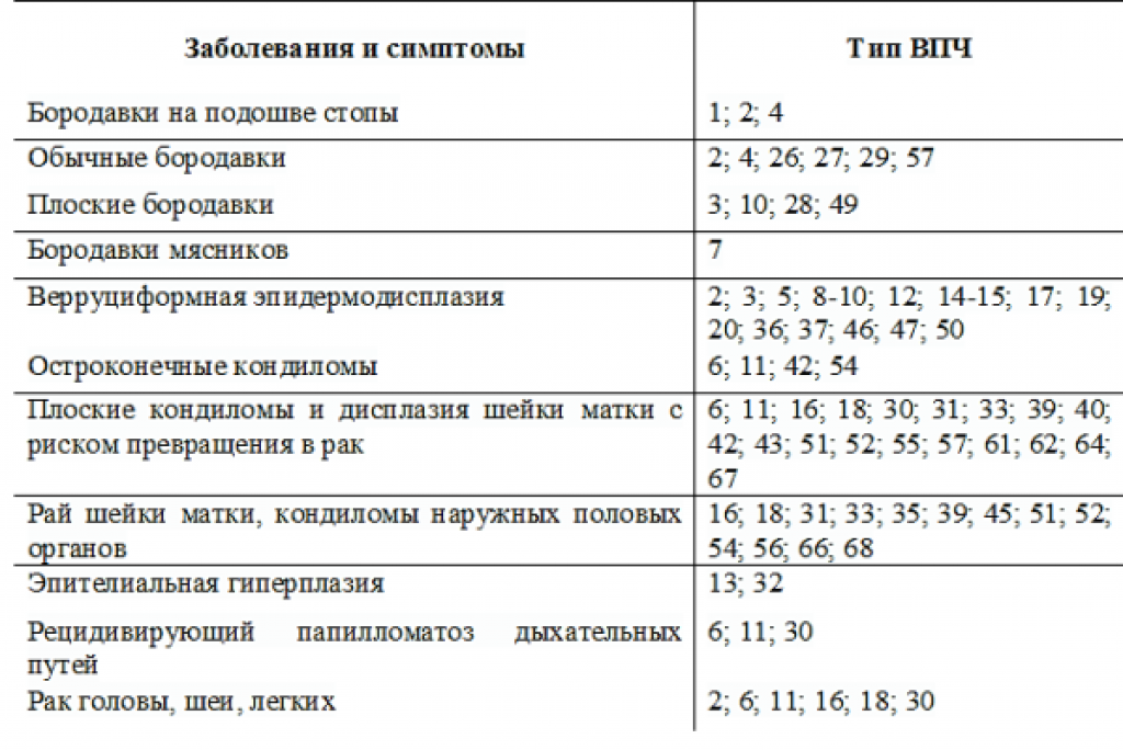 Что такое впч высокого онкогенного риска