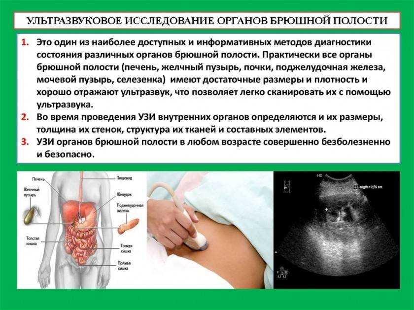 Узи брюшной полости что показывает