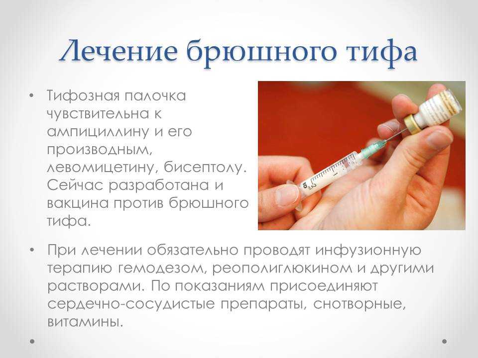 Брюшной тиф - причины, симптомы, виды, диагностика и последствия