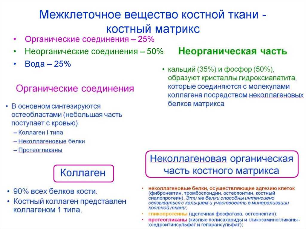 Межклеточные контакты. межклеточное пространство
