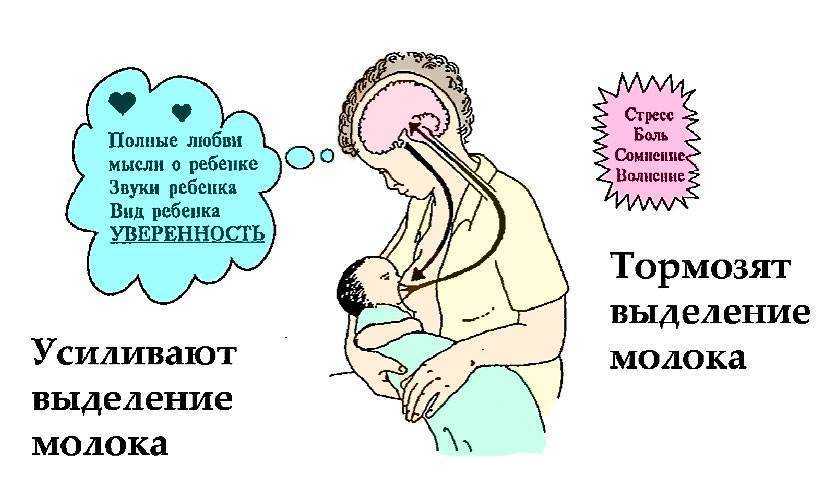 Молозиво: когда появляется? состав молозива и польза для малыша