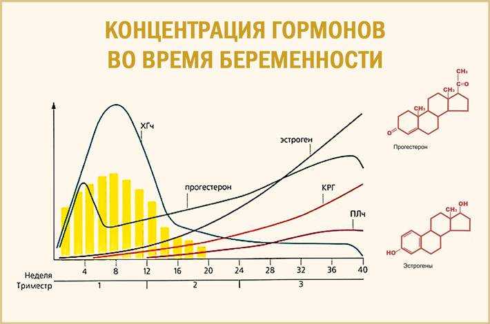Прогестерон в крови: норма гормона в крови, причины отклонений, что значит