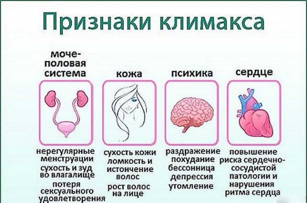 5 основных признака наступления климакса. понятие