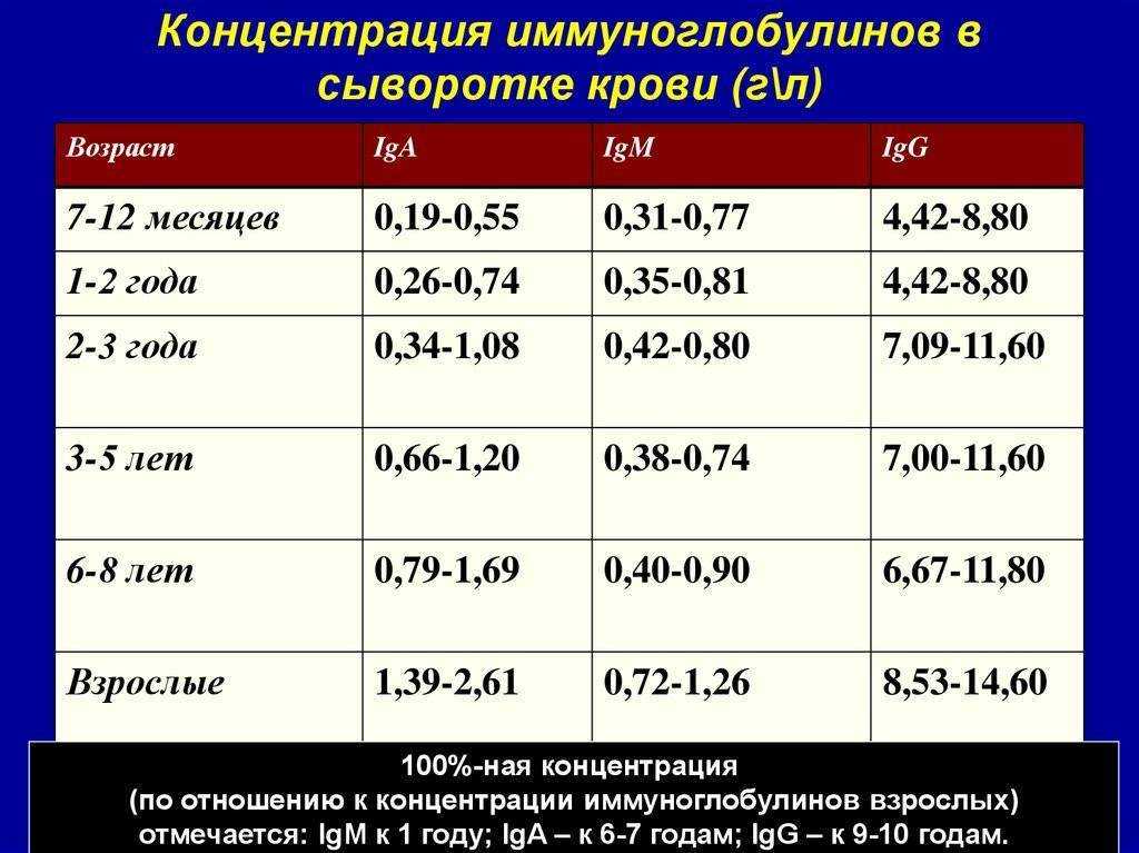 Иммуноглобулин g повышен что это значит, анализ на что показывает, строение, норма у взрослых
