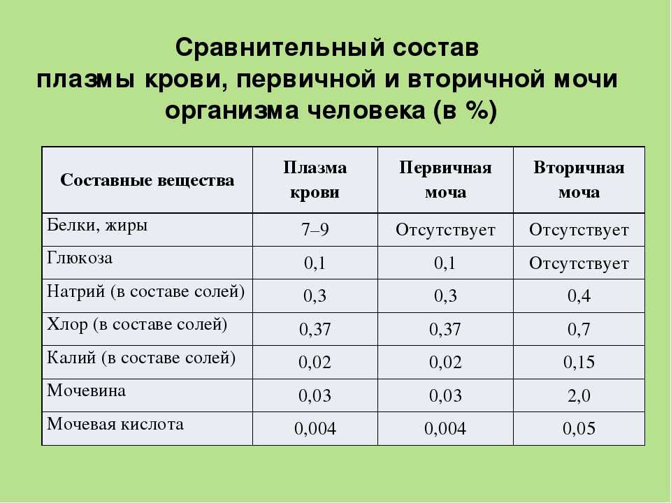 Сахар в моче у беременной — что это значит