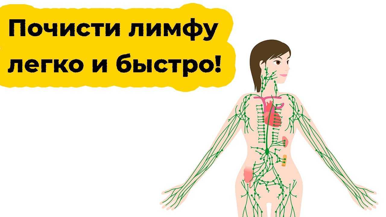 Чистка лимфы с помощью корня солодки и энтеросгеля