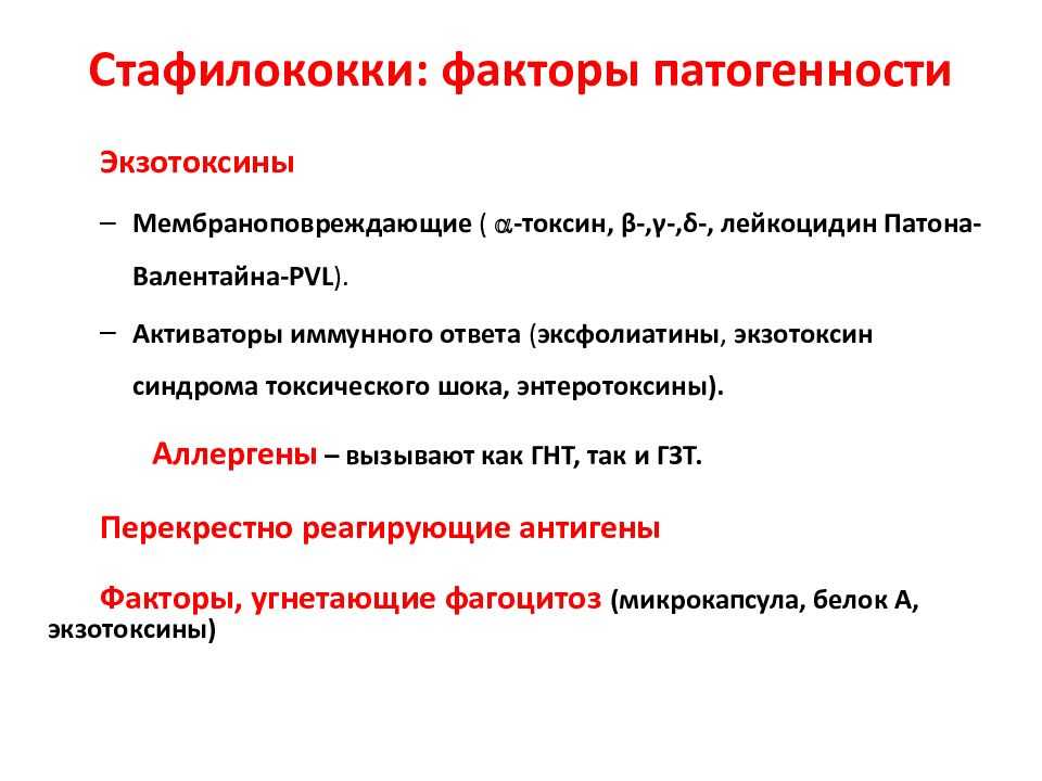 Как передается золотистый стафилококк между людьми, пути заражения | medded.ru