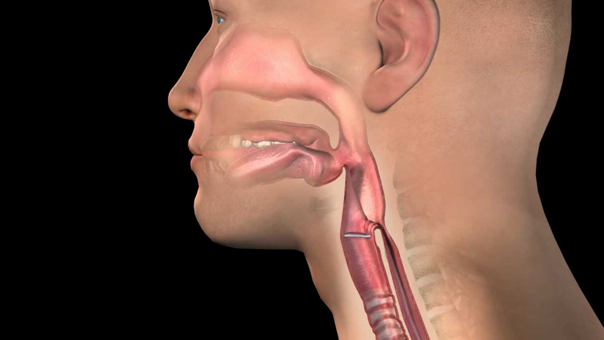 Болит горло и ухо с одной стороны – причины односторонней боли