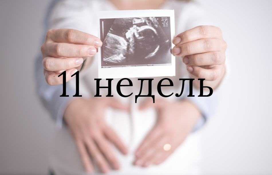 Что происходит на 10 неделе беременности с мамой и малышом: развитие плода, ощущения женщины, отзывы