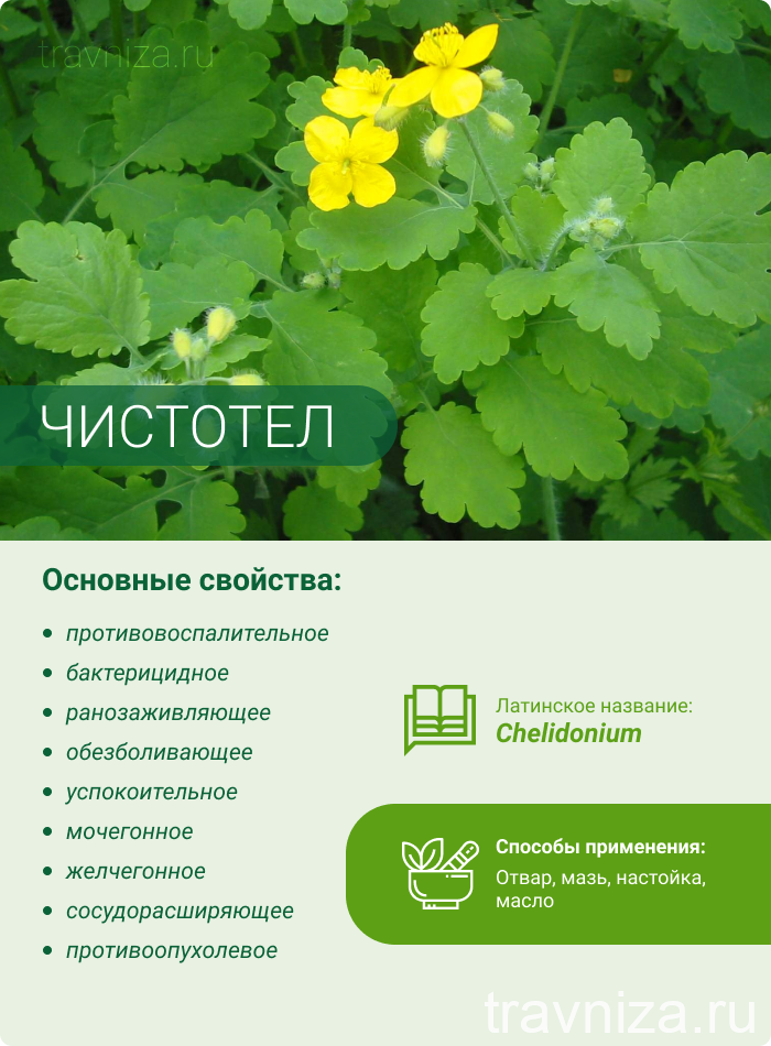 Чистотел в гинекологии