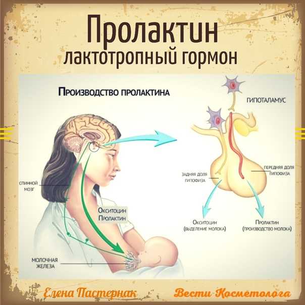 Гиперпролактинемия — причины, симптомы, нормы, лечение у мужчин и женщин