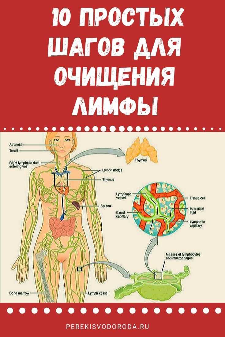 Очищение лимфы солодкой и энтеросгелем