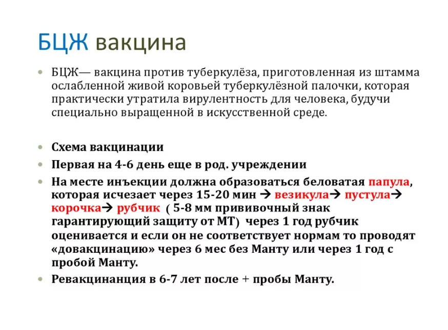 Прививка от туберкулеза - правила вакцинации детей и взрослых, противопоказания, реакции - гбуз птд №23 мз кк