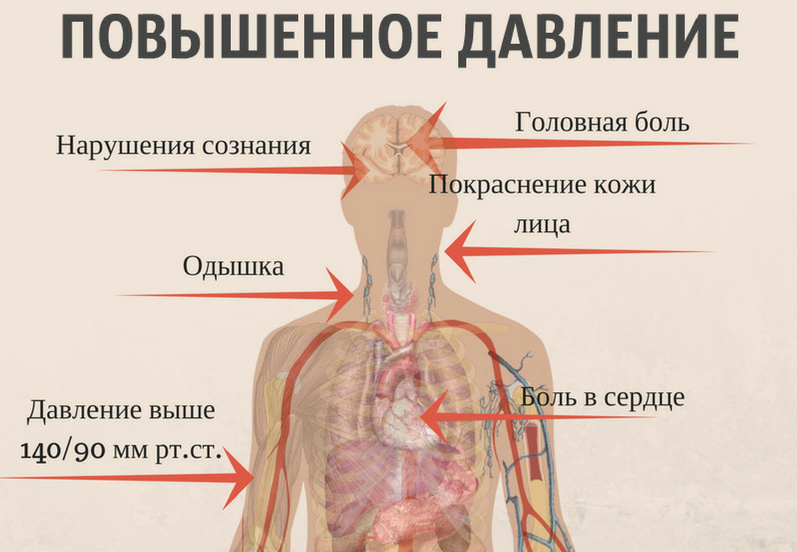 Что такое аллергия: симптомы, причины, лечение