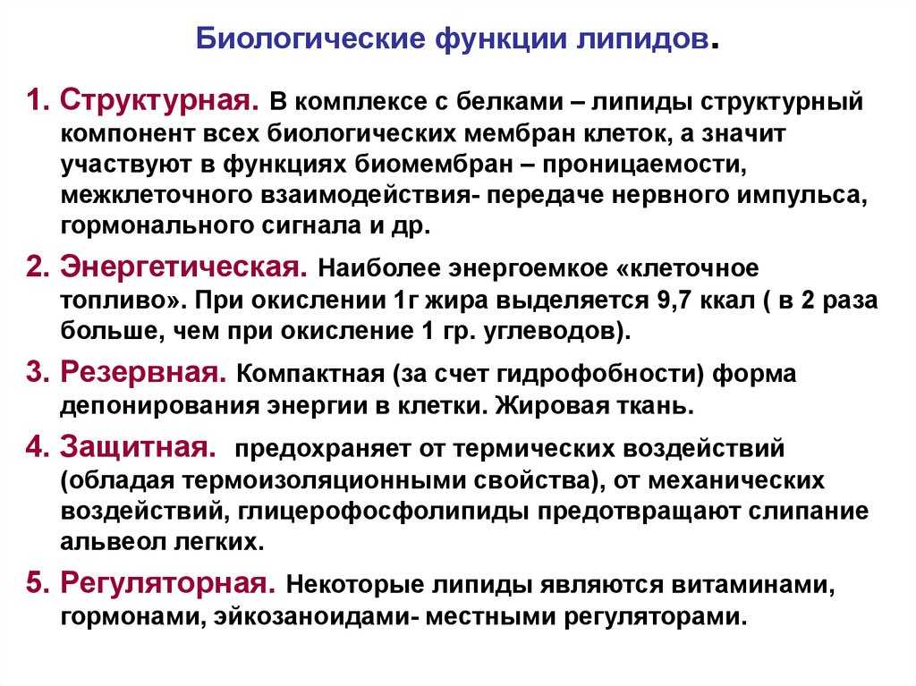 Популярно о фосфолипидах