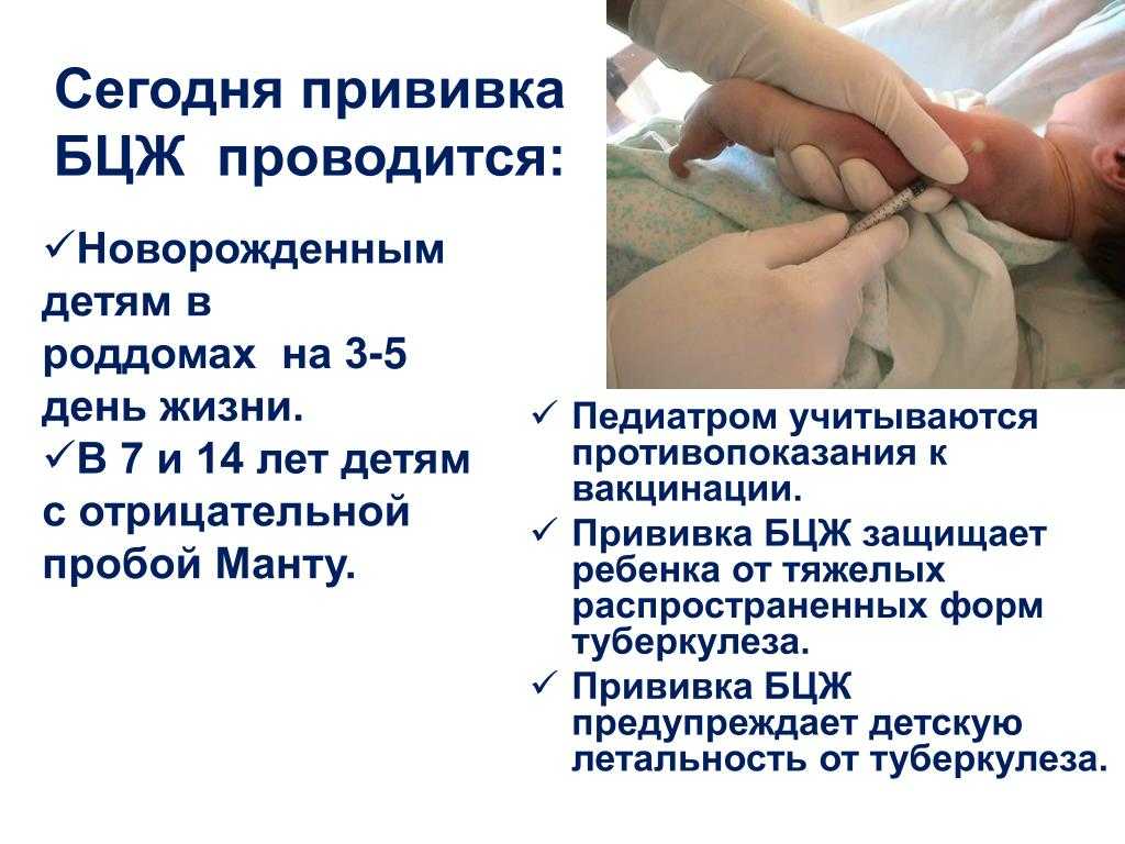 Прививка бцж новорожденным: от чего делают, как протекает, и какая должна быть реакция?