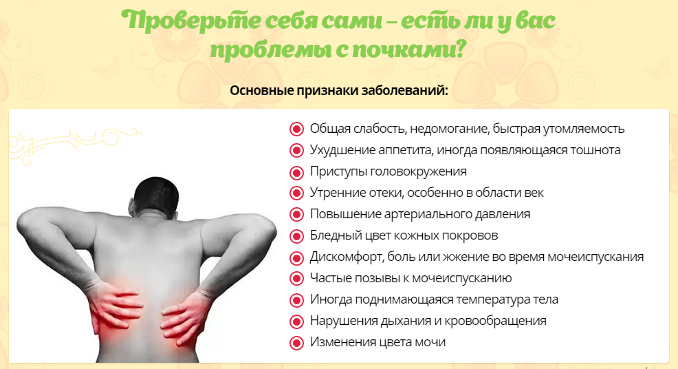 Болит спина в области почек: симптомы боли, почему тянет поясницу
