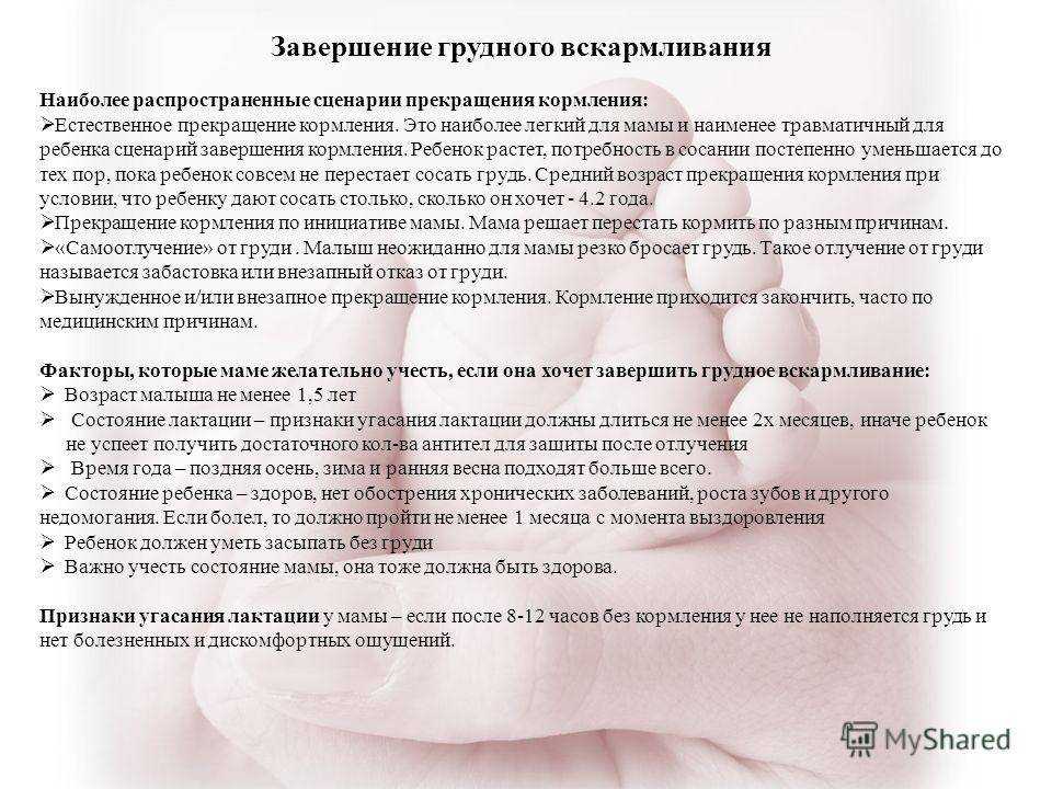 Можно ли ходить в баню при гв и влияние парной на лактацию