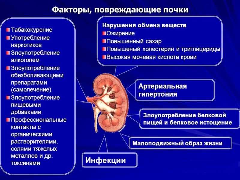 Боль в области почки при вдохе — что это может быть | все о здоровье почек