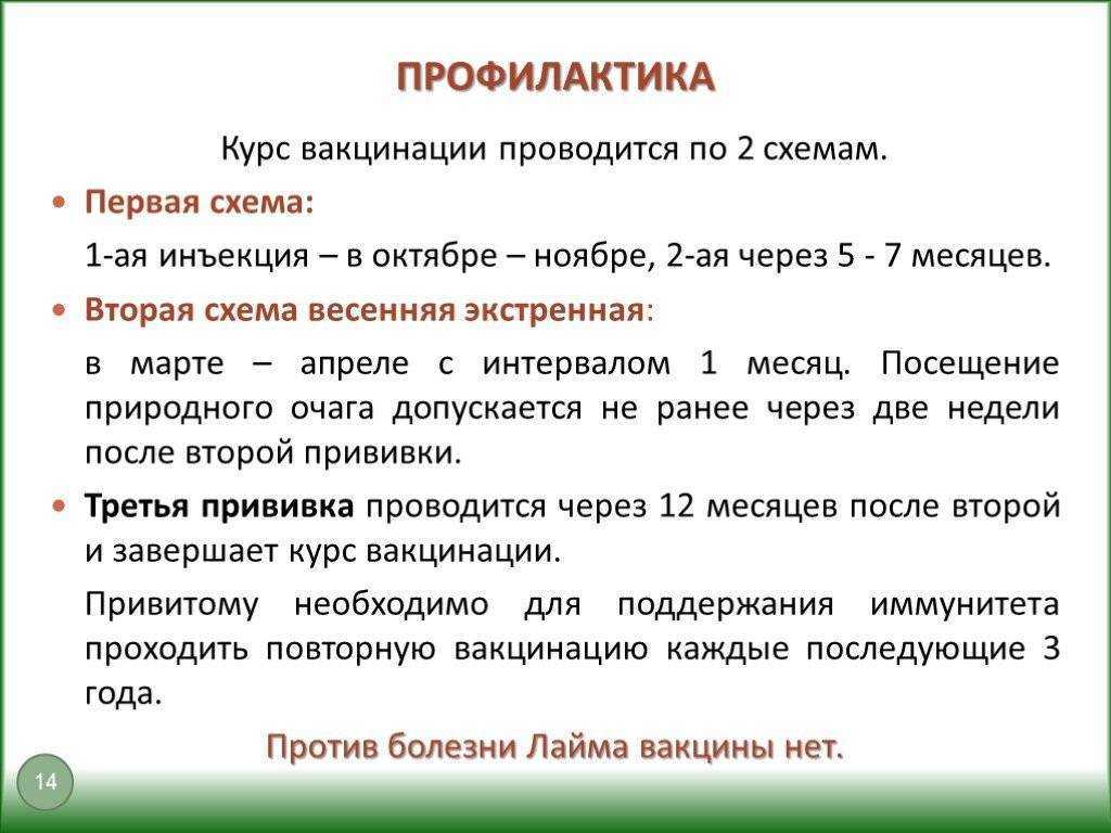 Прививка от клещевого энцефалита - побочные эффекты: описание, противопоказания, реакция у взрослых и детей :: здоровье :: клео.ру