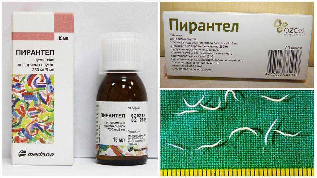 Глисты - 25 народных рецептов для избавления от паразитов