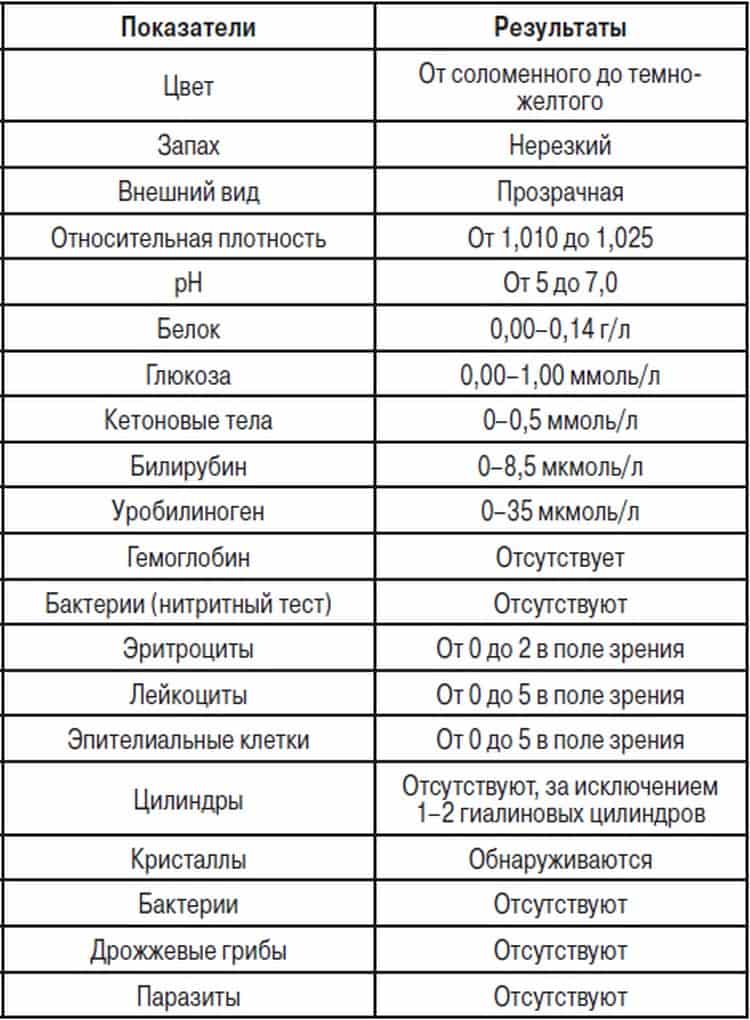 Анализы при беременности: какие сдавать? расшифровка основных анализов крови и мочи | rumex